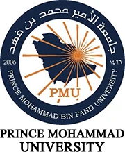 Prince Mohammad University