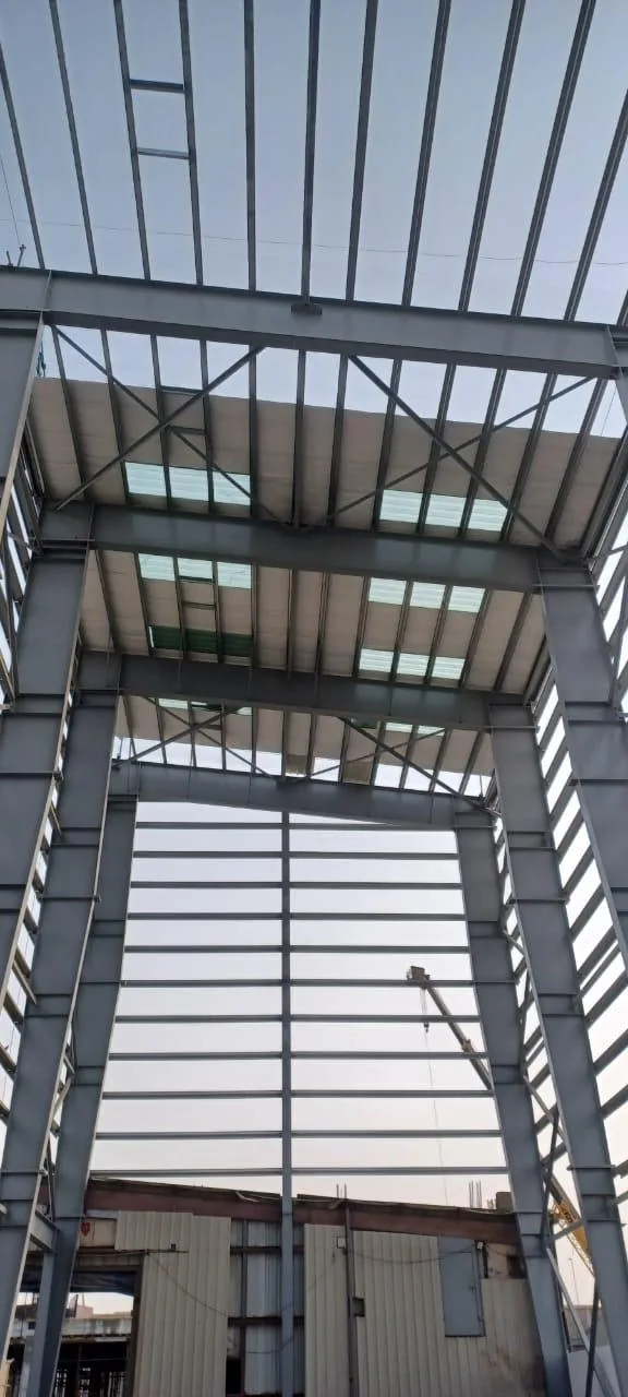 Structural Steel Buildings