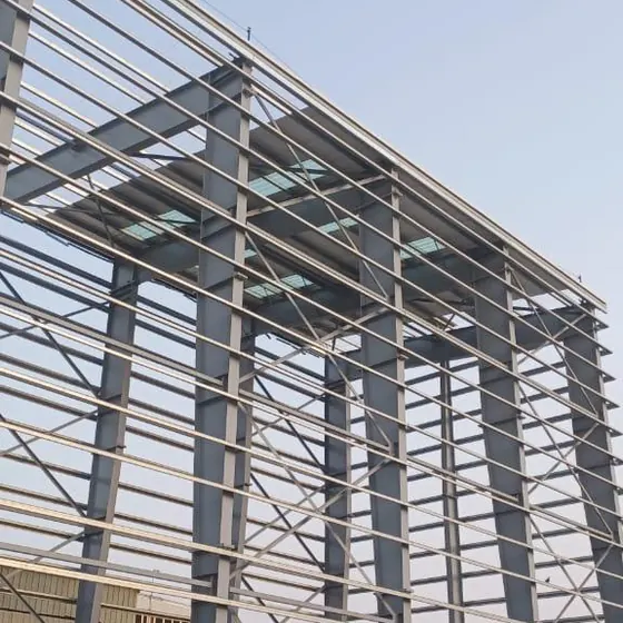 Structural steel framework in progress.