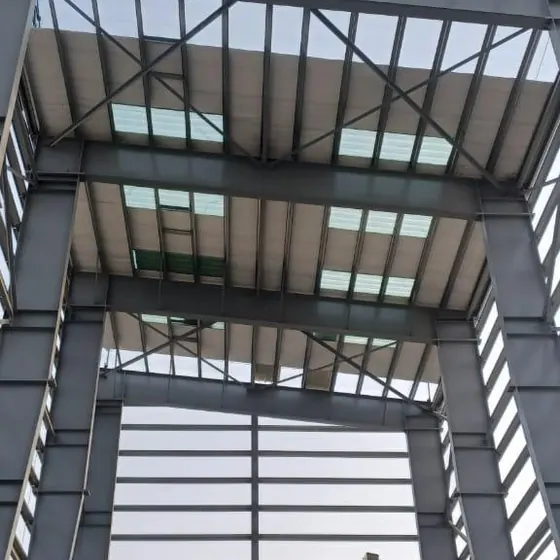 Steel frame and roof structure erection.